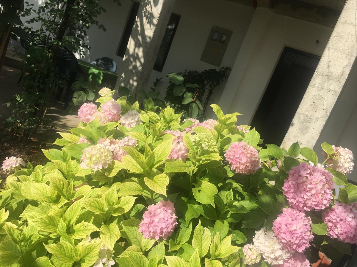 Guesthouse Star Mostar Bagian luar foto